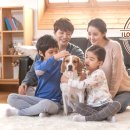 아이조아 요양보호소 서울점 이미지