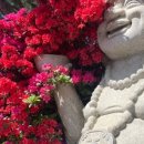 한국차문화공원 관광안내소 이미지