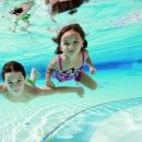 타잔비엔지 이미지