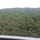 일심 공인중개사 사무소 이미지