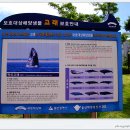 장생포고래로 이미지