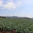 대황경로당 이미지