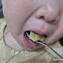 꿀장터 | 우리 아이 첫 간식으로 딱! 고랭지장터 햇꿀고구마 솔직후기