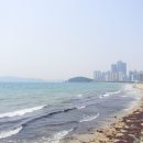 운촌갤러리카페 | 피서의 성지를 거닐다. 부산 해운대~송정 바다 나들이 (동백섬, 달맞이고개, 문텐로드, 청사포)