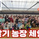 정진월농장 이미지