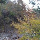 가을민박 이미지