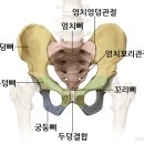 도수명가 이미지