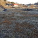 매수1리마을회관 이미지