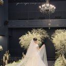 보타닉파크웨딩 네이버블로그