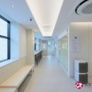 돌담 동물의료센터 이미지