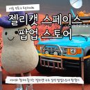 인형# | 젤리캣 성수 팝업스토어 스페이스 예약 워크인 인형 가격 후기
