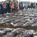 세종공동어시장