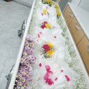 원주의료원 장례식장 이미지