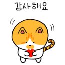 고양이무마취미용 냥지곤지 이미지