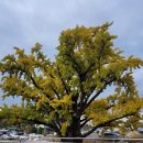 석정온천휴스파 이미지