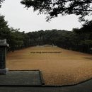 순천-48호 이미지