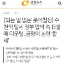 [‘되는 일 없는’ 롯데칠성] 수천억 탈세 정부 압박 속 日불매 미운털..곰팡이 논란 ‘합세’ 이미지