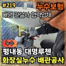 호평 대명루첸아파트 진입로 | 219.[ 평내동누수 ] 평내 대명루첸 화장실누수 누수탐지 및 배관교체(철거없이!) 작업후기