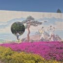 사선대 해물칼국수 | 🌿 전북 임실 가족 나들이 추천 사선대 &amp; 사선대해물칼국수 방문 후기
