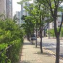 현진에버빌1단지A 이미지