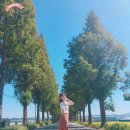 죽동마을 이미지