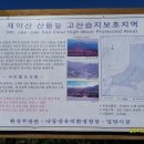 도래재로 이미지