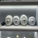 달리아에스테틱 이미지