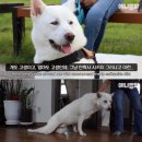 호돌이농장 이미지