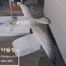 학 조형물 이미지