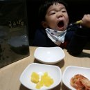 국수나무함안점