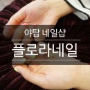 플로라네일 이미지