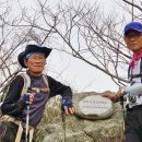 강촌횟집 이미지