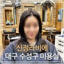 신정 | 대구 수성구 미용실 추천 황금동 신정라비에 뿌리펌 후기