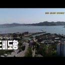 돌고래 좌대낚시터 Daum카페