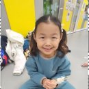 멘토태권도교육관 이미지