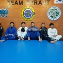 팀타이런트 유도 이미지