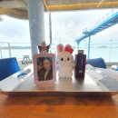 선경자판기 | 위즈니의 위시 손민수 목포여행 1일차 - 목포 오션호텔, 선경준치횟집, 카페 봄날