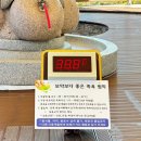 가조 힐링랜드 | 경남 거창 아이랑 가볼만한 곳, 가조온천 족욕체험장 추천