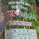 삼부자미나리 이미지
