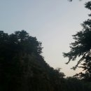 드림랜드