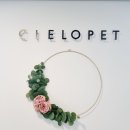 씨엘로펫 이미지