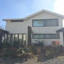 제주애월당귤 이미지