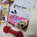 견생냥품 | 견생냥품 2025 강아지 크리스마스 어드벤트 캘린더 후기