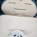 야옹아 멍멍해봐(봉명동) | 천안 강아지 고양이 용품 다 있는 곳 야옹아멍멍해봐 원성점 후기