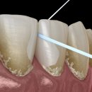 365핵심플러스치과의원 이미지