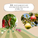 승곡체험마을 이미지