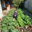 현대이용소 이미지