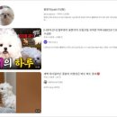 무지개다리 이미지