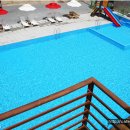 어린왕자의나무별 이미지