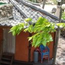 마포농원 이미지